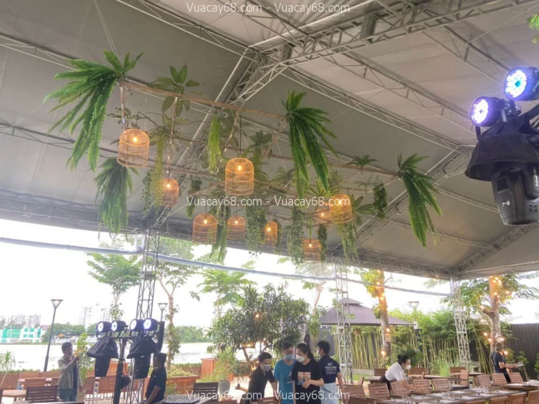 cây treo rủ giả