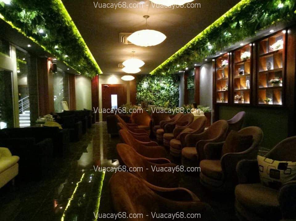 cây giả trang trí trần nhà đẹp cây giả trang trí trần nhà đẹp