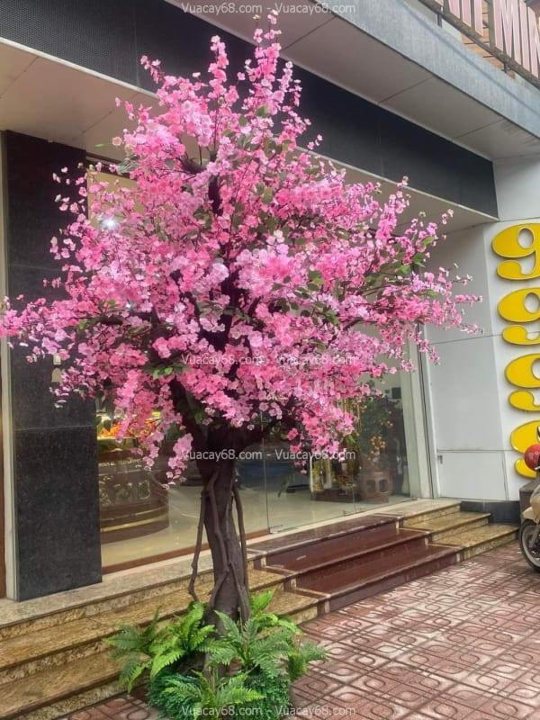 cây hoa anh đào giả quận 1 HCM