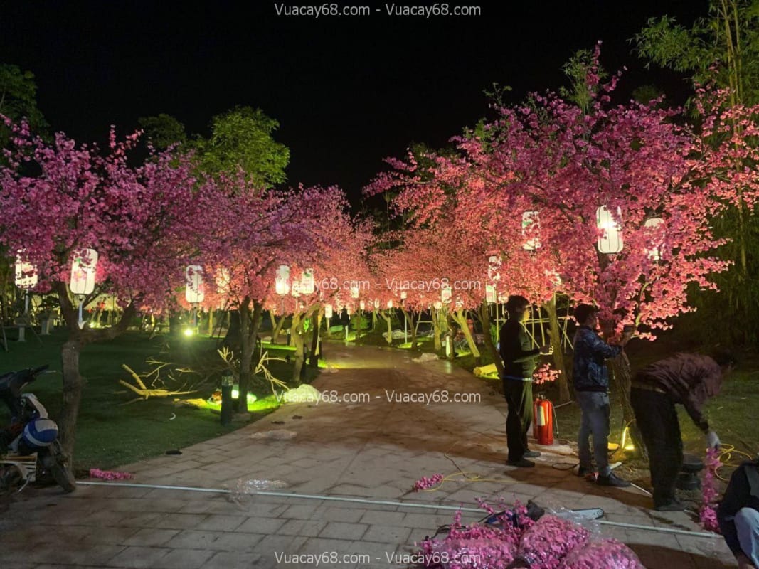 Cây hoa anh đào giả quận 11 HCM