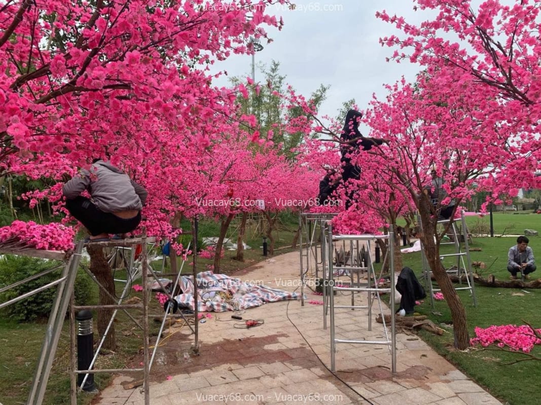 Cây hoa anh đào giả quận 11 HCM