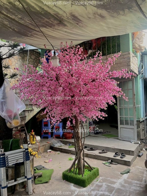 Cây hoa anh đào giả quận 11 HCM