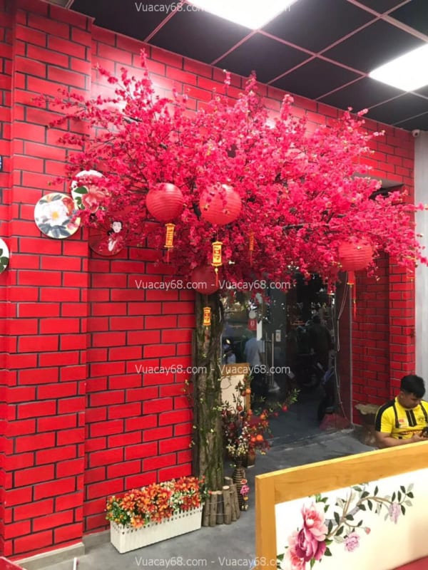 Cây hoa anh đào giả quận 12 HCM