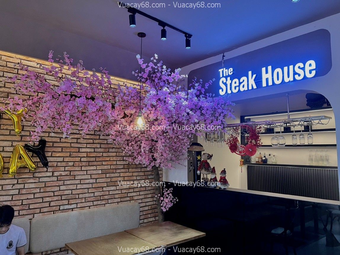 cây hoa anh đào giả quận 2 HCM cây hoa anh đào giả quận 2 HCM