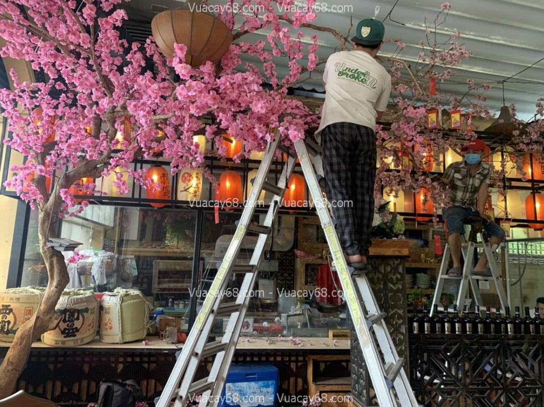 Cây hoa anh đào giả quận 3 HCM