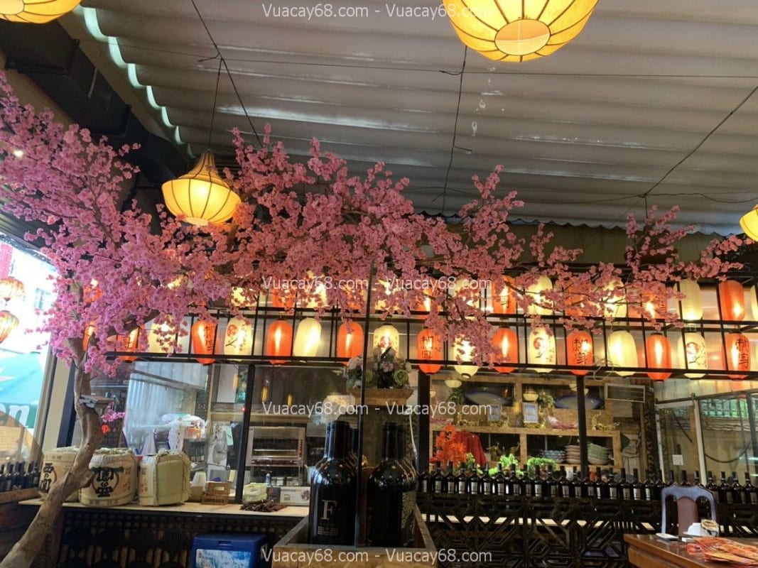 Cây hoa anh đào giả quận 3 HCM