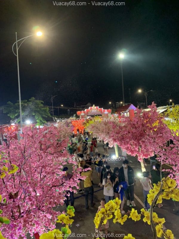 Cây hoa anh đào giả quận 4 HCM
