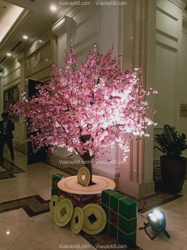 Cây hoa anh đào giả quận 6 HCM