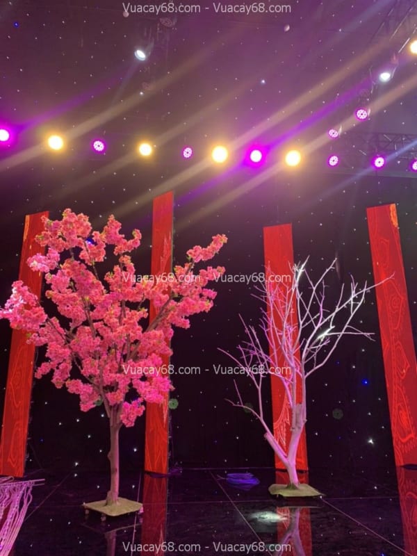 Cây hoa anh đào giả tại Vũng Tàu Cây hoa anh đào giả tại Vũng Tàu