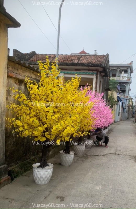 cây hoa mai giả cao 2m2