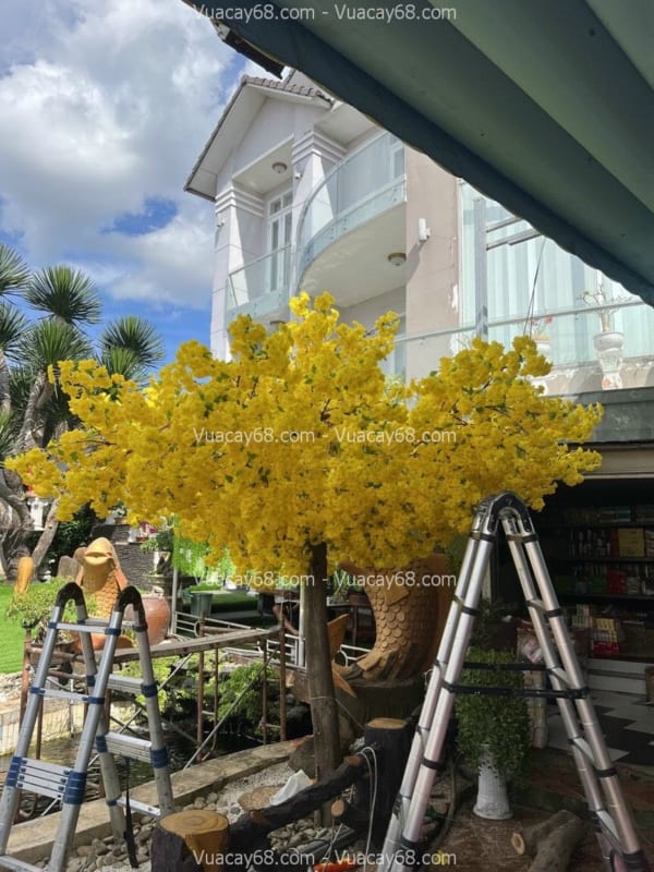 cây hoa mai giả quận 12 hcm cây hoa mai giả quận 12 hcm