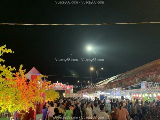 cây hoa mai giả quận 5 hcm