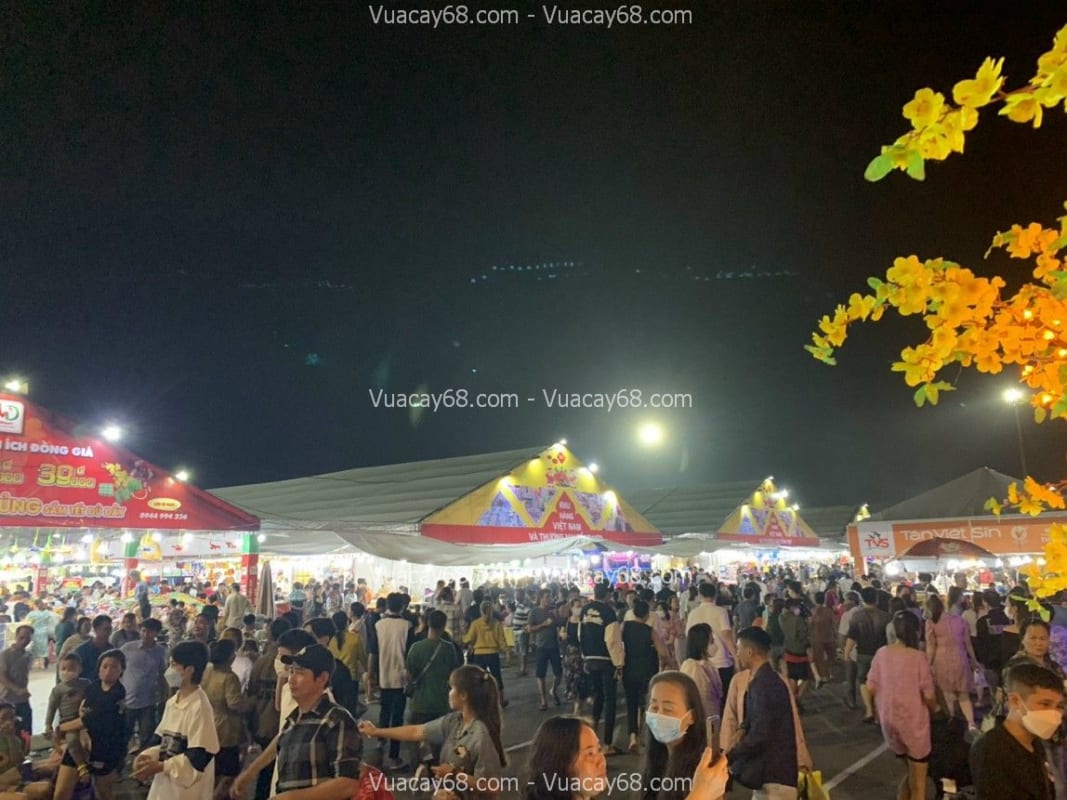 cây hoa mai giả quận 5 hcm