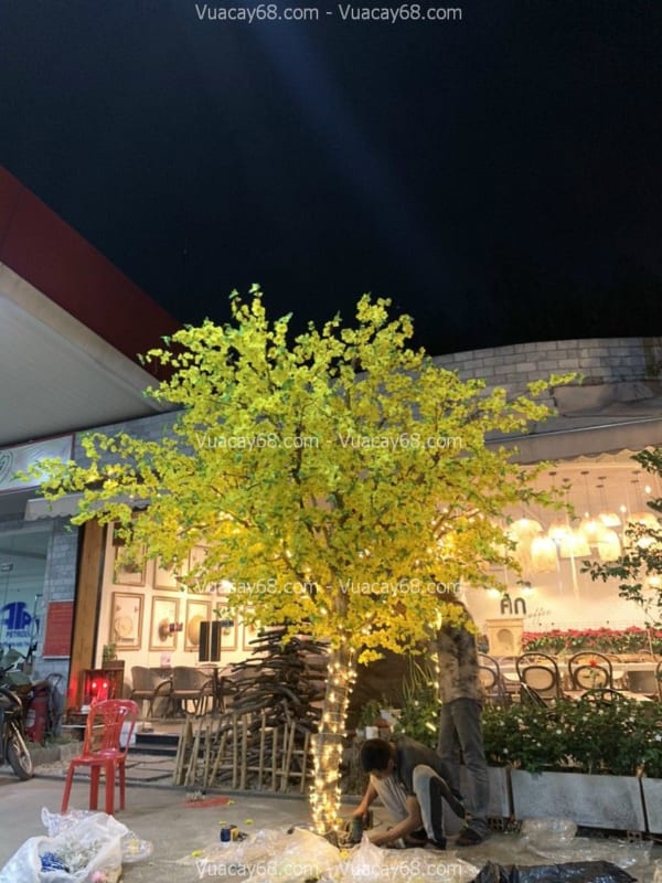 cây hoa mai giả quận 6 hcm