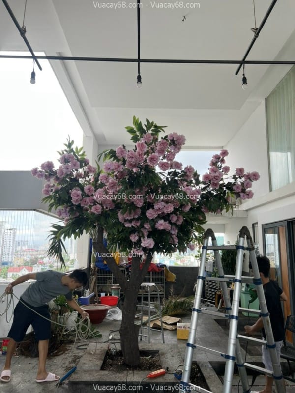 cây hoa mẫu đơn giả đẹp