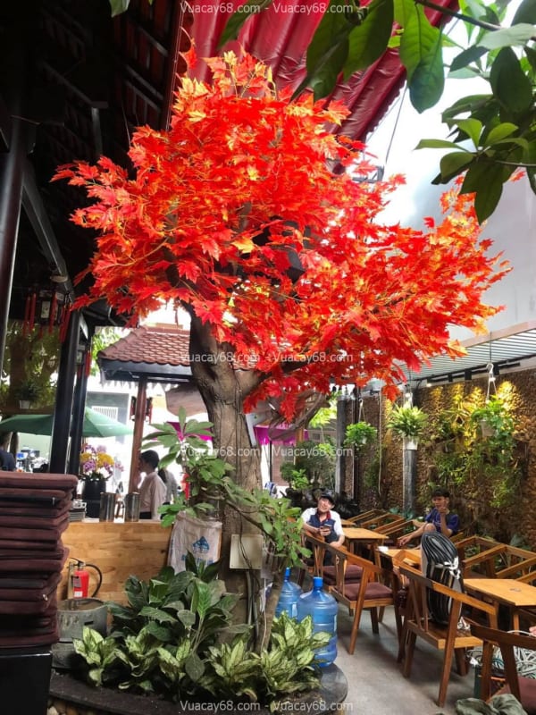 Cây phong giả quận 3 HCM