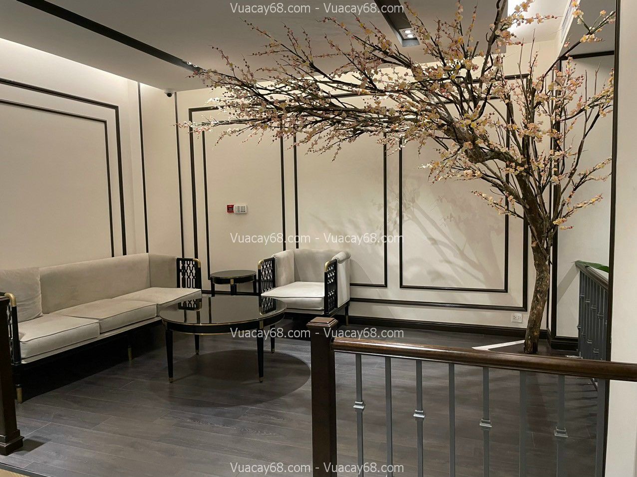 decor-cay-kho-gia-gia-re-1