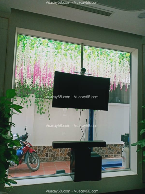 giàn hoa tử đằng giả hcm