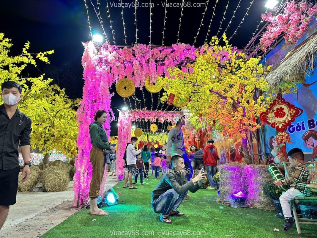 Thi công cây mai giả tại Nha Trang Thi công cây mai giả tại Nha Trang