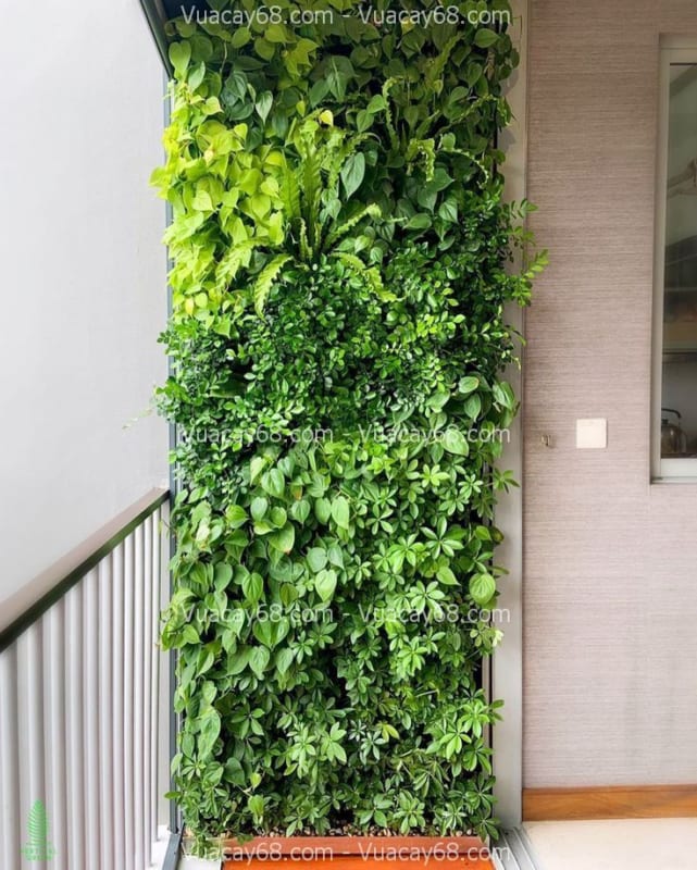 Thi công tường cây giả cho cửa hàng