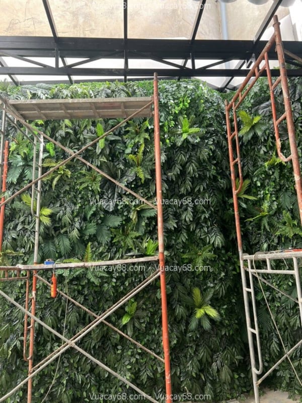 Tường cây nhựa Vũng Tàu Tường cây nhựa Vũng Tàu