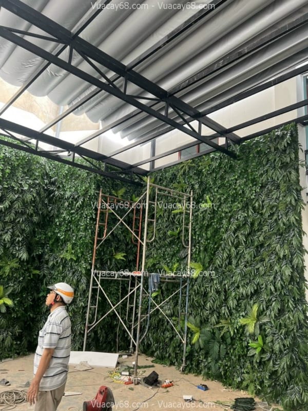 Tường cây nhựa Vũng Tàu Tường cây nhựa Vũng Tàu