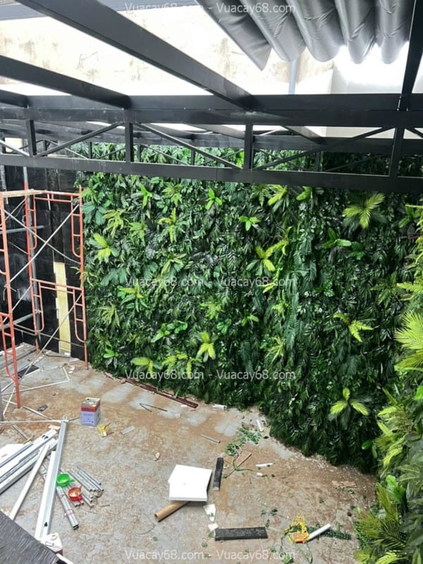 Tường cây nhựa Vũng Tàu Tường cây nhựa Vũng Tàu