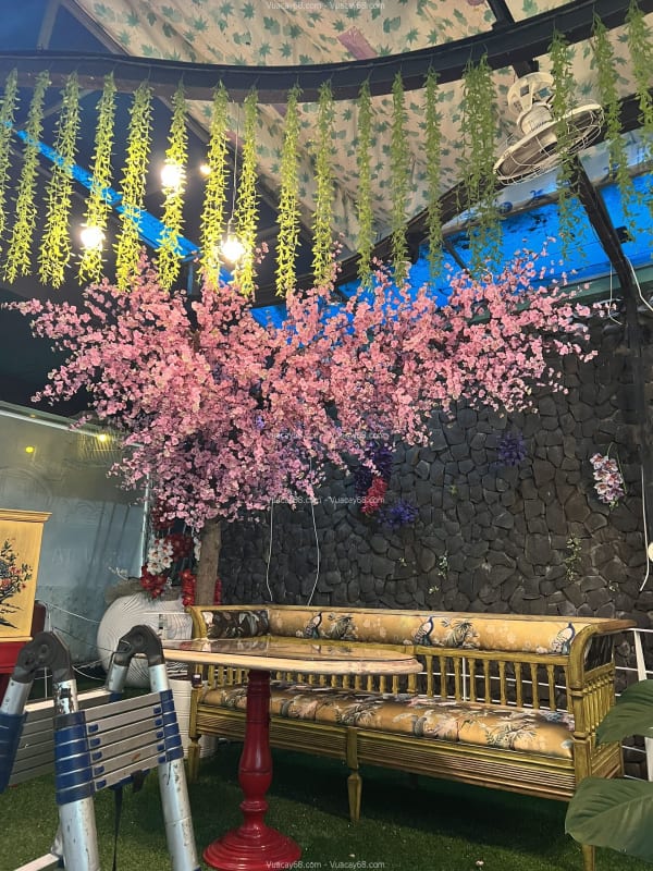 Cây hoa anh đào giả tại Cần Thơ