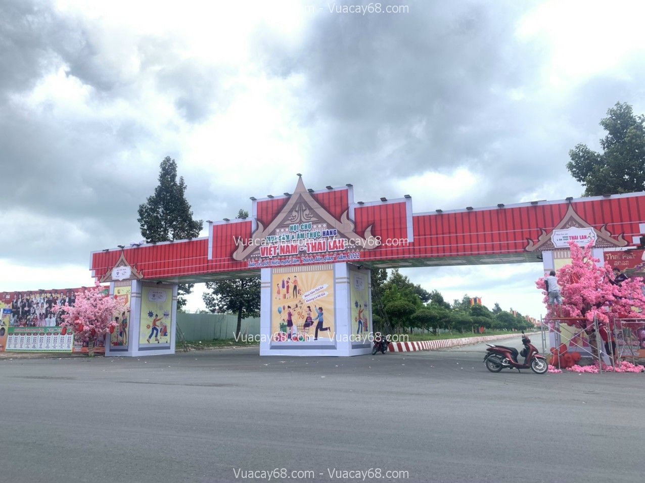 cay-hoa-anh-trang-tri-nha-1