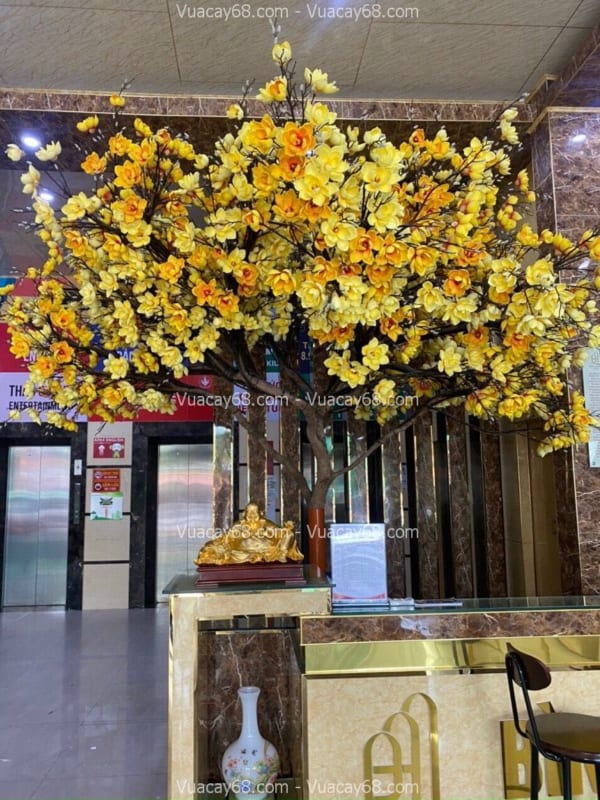 Cây hoa mộc lan hoa vàng giả