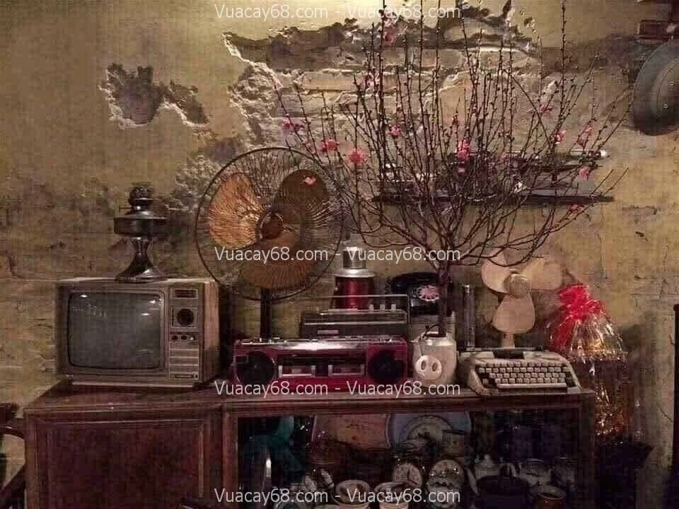Decor cây giả cho quán nhà hàng Decor cây giả cho quán nhà hàng