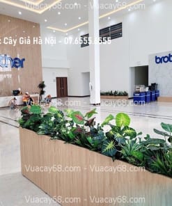 buc cay gia Ha Noi