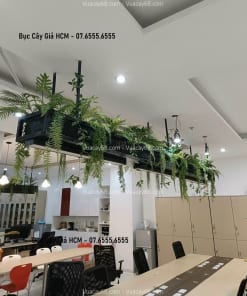 buc cay gia hcm