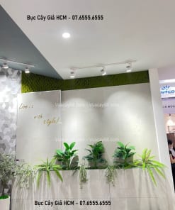 buc cay gia hcm