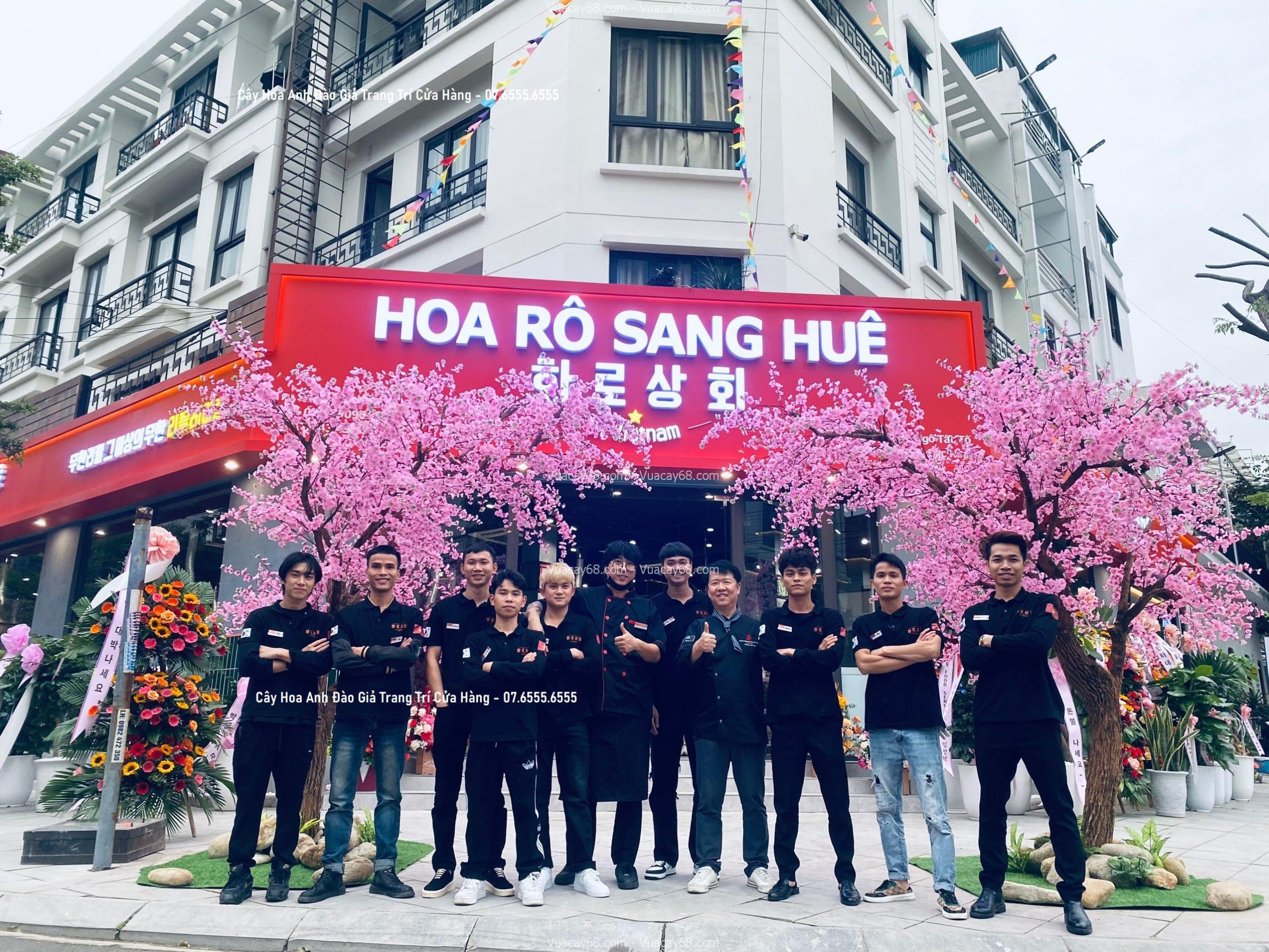 cay hoa anh dao gia trang tri cua hang cay hoa anh dao gia trang tri cua hang