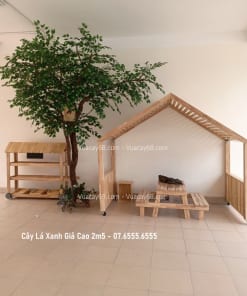 cay la xanh gia cao 2m5