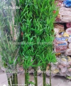 cay truc giả