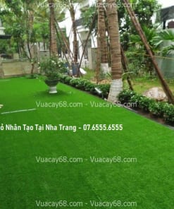 cho thue co nhan tao tai nha trang