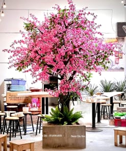 decor cay hoa anh dao gia