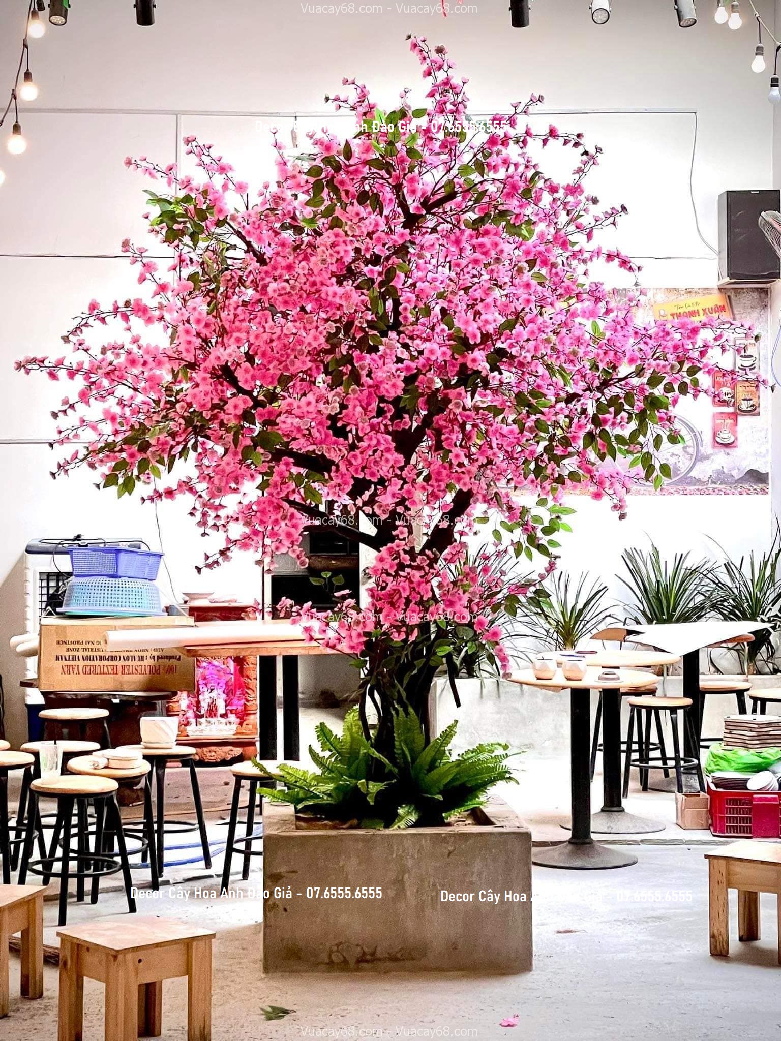 decor cay hoa anh dao gia decor cay hoa anh dao gia