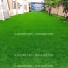 tham co nhan tao tai quan 1 tphcm