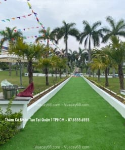 tham co nhan tao tai quan 1 tphcm