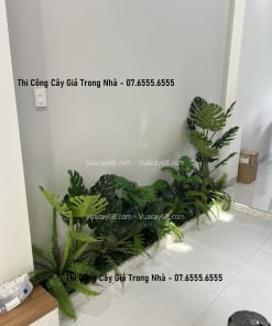 thi cong cay gia trong nha