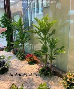 tieu canh cay gia trang tri